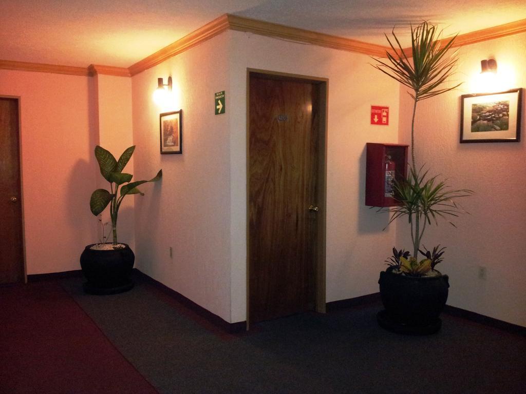 מקסיקו סיטי Hotel Siesta Del Sur מראה חיצוני תמונה