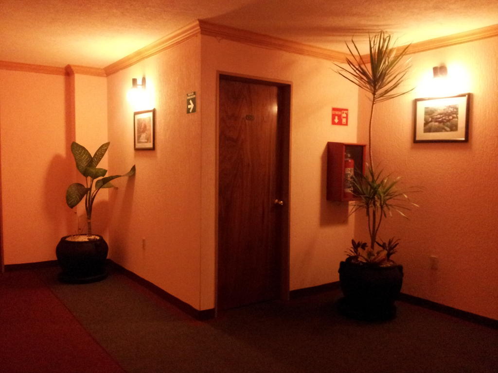 מקסיקו סיטי Hotel Siesta Del Sur מראה חיצוני תמונה